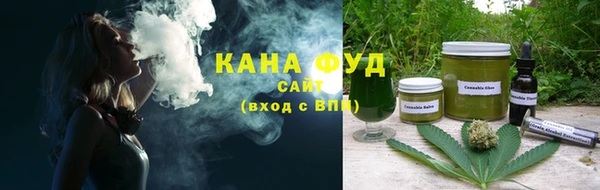 первитин Гусев