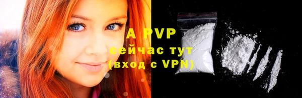 a pvp Гусиноозёрск