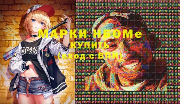 прущие грибы Дмитриев
