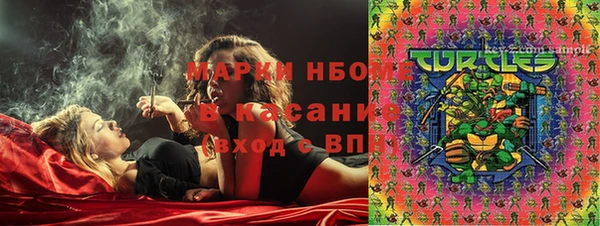 соль ск Дмитров