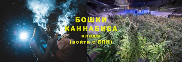 первитин Гусев