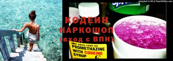 первитин Гусев