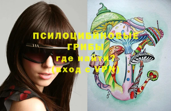 a pvp Гусиноозёрск