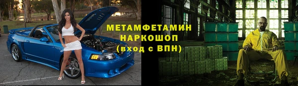 прущие грибы Дмитриев