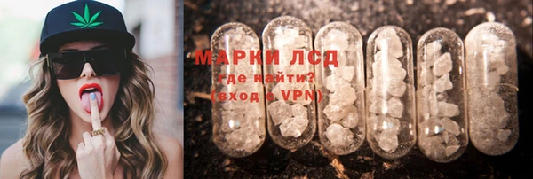 прущие грибы Дмитриев