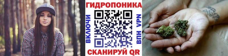 наркотики Новомосковск MEGA tor Бошки Шишки план